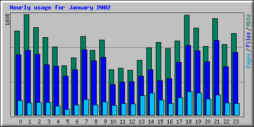 Hourly usage for January 2002